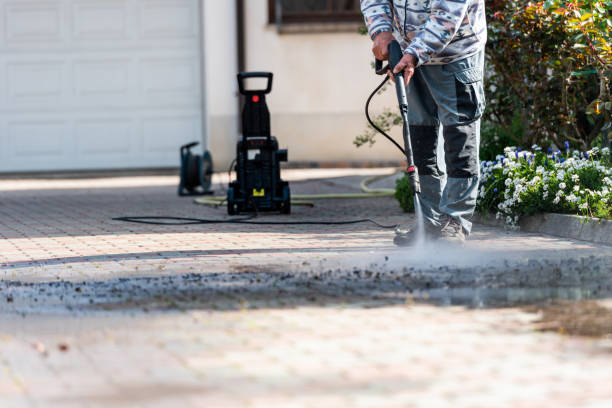 Best Roof Pressure Washing  in Dadeville, AL